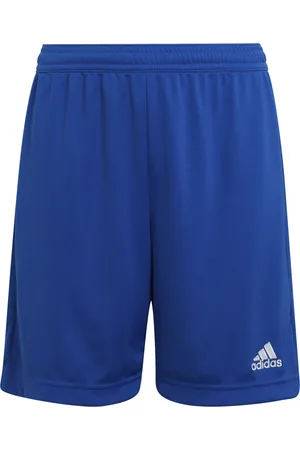 adidas Sportshorts 