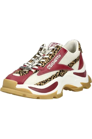 Steve Madden Sneaker