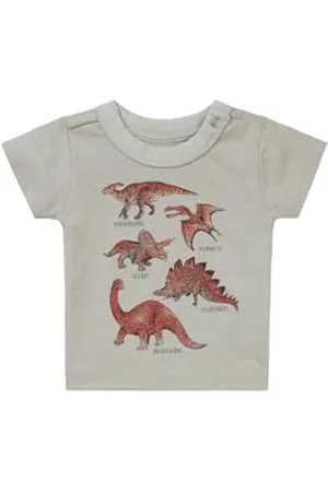 Noppies Baby Baby-Jungen Boys Tee Momence Short Sleeve T-Shirt, Willow Grey-N044, 62