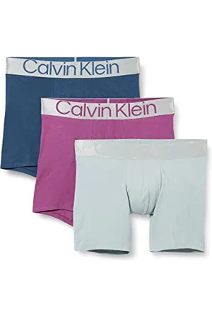 Calvin Klein Herren 3er Pack Boxer Briefs Baumwolle mit Stretch, Mehrfarbig (Amethyst/Silver Springs/Crayon Bl), S