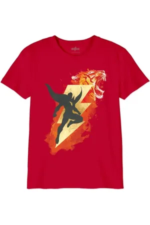 DC Comics Originals Jungen Boshazmts004 T-Shirt, , 14 Jahre