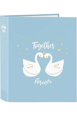 Glowlab CISNES Ordner, Folio, 4 Ringe, ideal für Kinder verschiedener Altersgruppen, bequem und vielseitig, Qualität und Widerstandsfähigkeit, 27 x 6 x 33 cm
