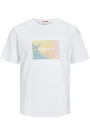 JACK & JONES Herren JORARUBA Sunset Branding Tee SS C. PLS T-Shirt, , 58
