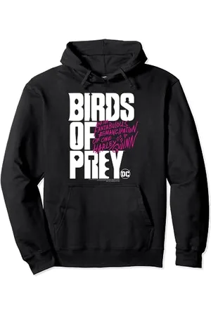 DC Comics Originals Birds of Prey Large Logo Pullover Hoodie