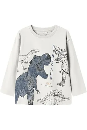 NAME IT Jungen Nmmbenjamino Nreg Ls Top, , 110 EU