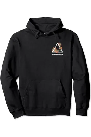 Imagine Dragons Blumenprisma Pullover Hoodie