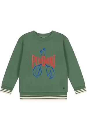 Petit Bateau Jungen A0CRU Sweatshirt, , 10 Jahre