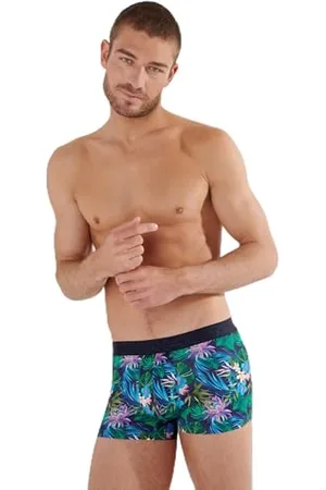 Hom Boxer Yoni