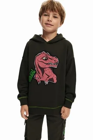 Desigual Sweat_AMIR, 4092 KAKI, L