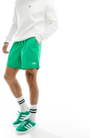 The North Face – Class V Pathfinder – Shorts in mit Logo