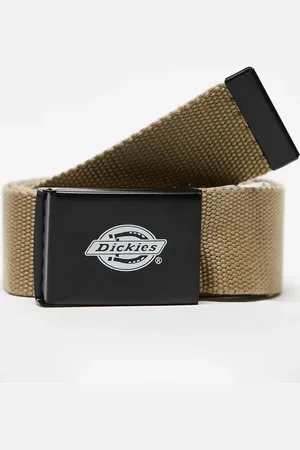 Dickies – Orcutt – Gürtel in Khaki mit Clip-Verschluss