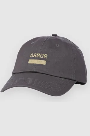 Arbor Surplus Cap
