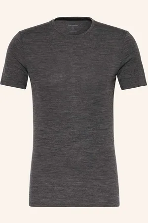 Icebreaker Funktionswäsche-Shirt Anatomica Aus Merinowolle grau