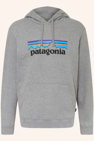 Patagonia Hoodie P-6