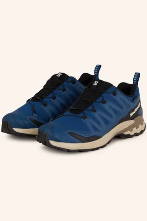Salomon Wanderschuhe Xa Pro 3d v9 Gtx blau