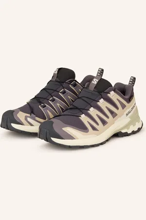 Salomon Wanderschuhe Xa Pro 3d v9 Gtx grau