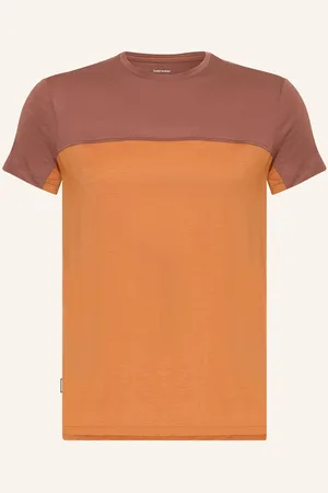 Icebreaker T-Shirt 125 Cool-Lite™ Sphere Iii Mit Merinowolle braun