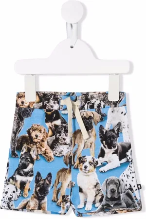 Molo Shorts mit Hunde-Print