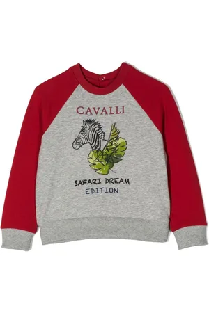 Roberto Cavalli Sweatshirt mit grafischem Print
