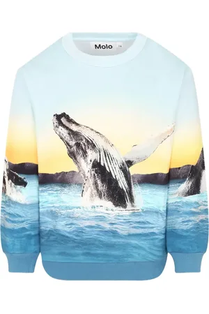 Molo Sweatshirt mit Wal-Print