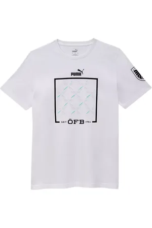 PUMA Österreich Ftblicons Tee