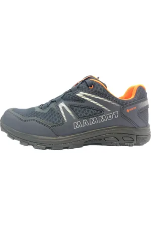 Mammut Terrion II Low GTX