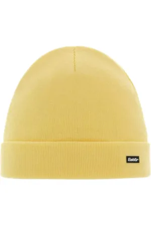 Eisbär Skater