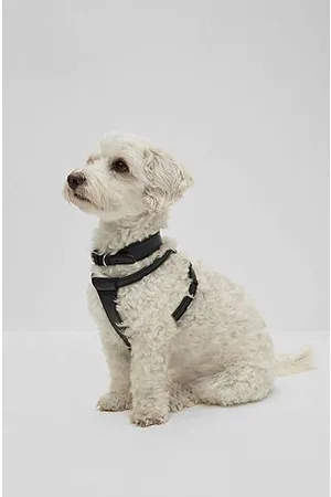HUGO BOSS Hunde-Geschirr aus recyceltem Leder