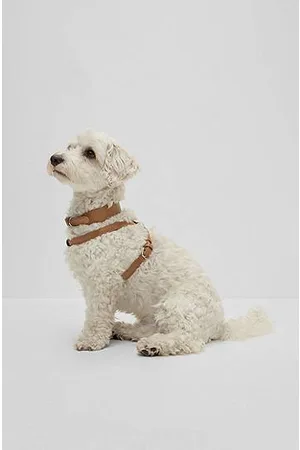 HUGO BOSS Hunde-Geschirr aus recyceltem Leder