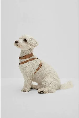 HUGO BOSS Hunde-Halsband aus recyceltem Leder