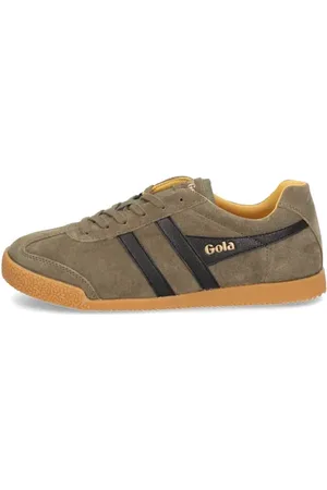 Gola Harrier