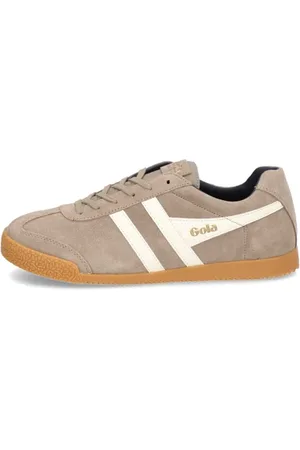 Gola Harrier