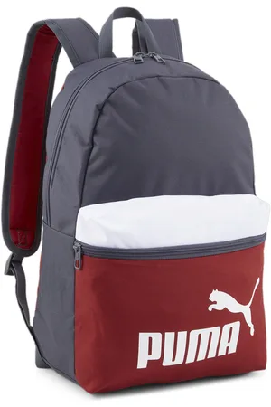 PUMA Rucksack »PHASE BACKPACK COLORBLOCK«
