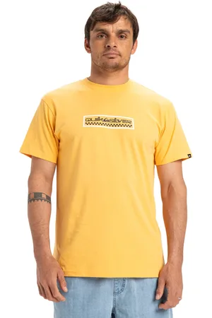 Quiksilver T-Shirt »Ev Sun Dagger«