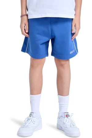 Element Shorts »Cornell 90s 15.7"«