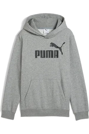 PUMA Kapuzensweatshirt »ESS NO. 1 LOGO HOODIE FL B«