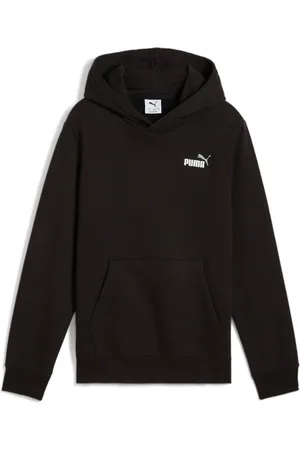 PUMA Kapuzensweatshirt »ESS 2 COLOR SMALL NO. 1 LOGO HOODIE FL B«