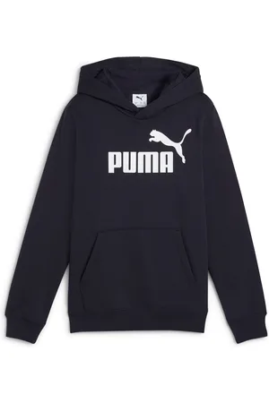 PUMA Kapuzensweatshirt »ESS NO. 1 LOGO HOODIE FL B«