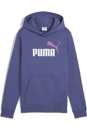 PUMA Kapuzensweatshirt »ESS 2 COLOR NO. 1 LOGO HOODIE FL B«