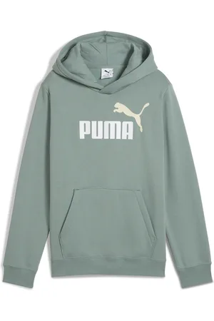 PUMA Kapuzensweatshirt »ESS 2 COLOR NO. 1 LOGO HOODIE FL B«