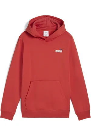 PUMA Kapuzensweatshirt »ESS 2 COLOR SMALL NO. 1 LOGO HOODIE FL B«