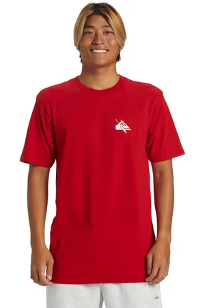 Quiksilver T-Shirt »QS Petroglyph«
