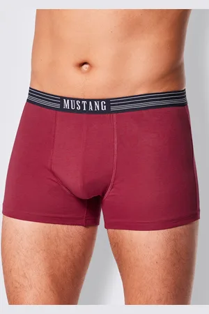 Mustang Boxer, (3 St.)