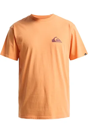 Quiksilver T-Shirt »Ev Mini Logo«