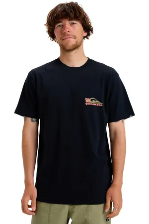 Quiksilver T-Shirt »Ev Everyday Paradise«