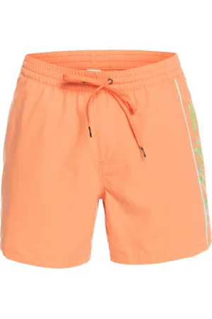 Quiksilver Boardshorts »Everyday Vert 16"«
