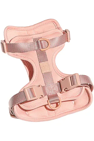 WILD ONE RIEMEN SMALL HARNESS in .
