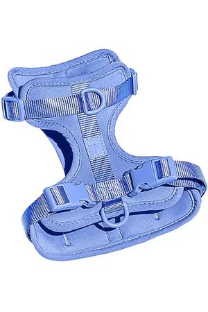 WILD ONE RIEMEN EXTRA SMALL HARNESS in .