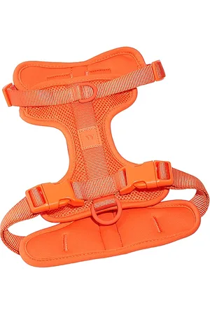 WILD ONE RIEMEN EXTRA SMALL HARNESS in .