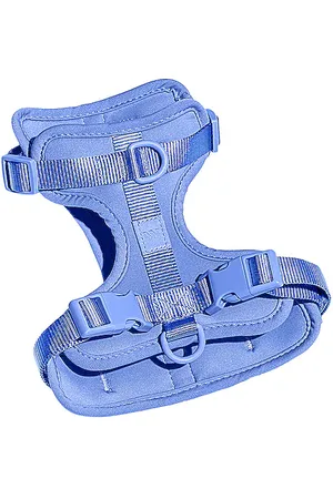 WILD ONE RIEMEN LARGE HARNESS in .